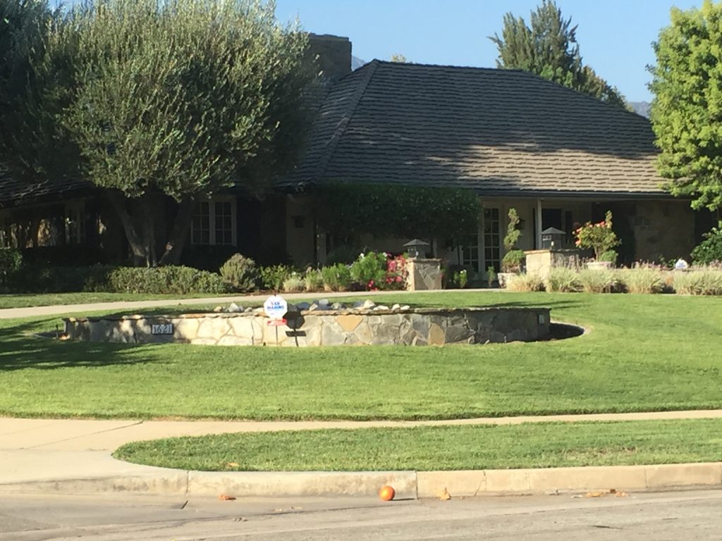Affordable Tree Maintenance Pasadena, CA
